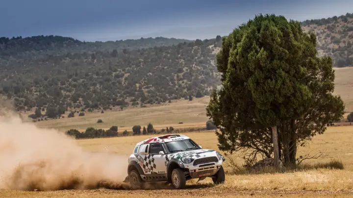 Baja Aragón 2016: Mini rally car passing lone tree in field
