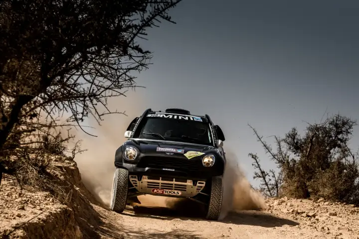 Rallye du Maroc 2016: black Mini racing through Moroccan tree-lined dirt track
